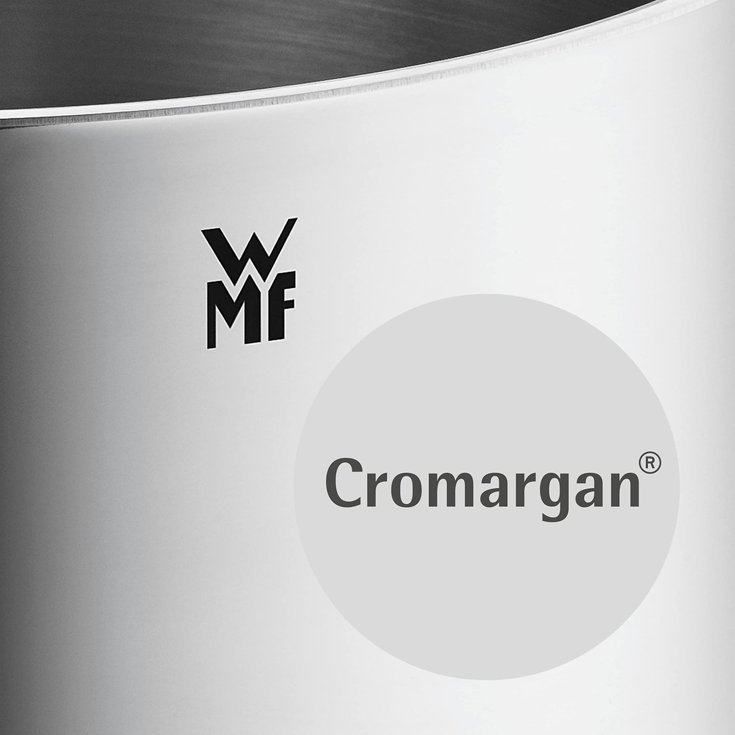 WMF Function 4-Olla Grande Alta de 24cm (5,7 litros de Capacidad) con Tapa, Cromargan 18/10, Acero Inoxidable Pulido
