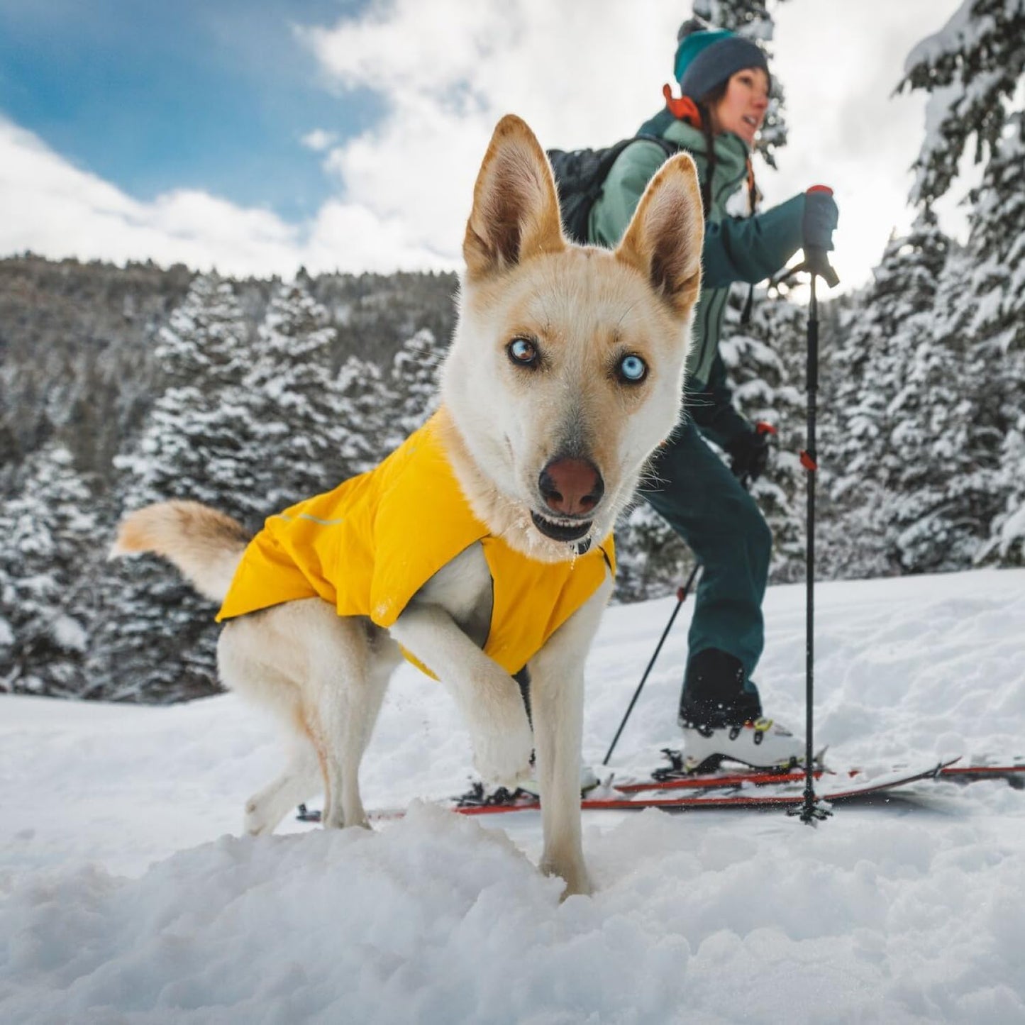 RUFFWEAR Vert Jacket, Insulated Outdoor Winter Dog Jacket with Leg Loops for Secure Fit, Windproof & Waterproof, Easy On/Off, includes Leash Portal, for Small Dogs, Size XS, Canyonlands Orange