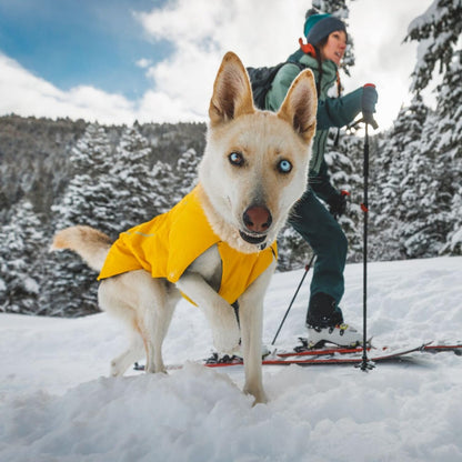 RUFFWEAR Vert Jacket, Insulated Outdoor Winter Dog Jacket with Leg Loops for Secure Fit, Windproof & Waterproof, Easy On/Off, includes Leash Portal, for Small Dogs, Size XS, Canyonlands Orange