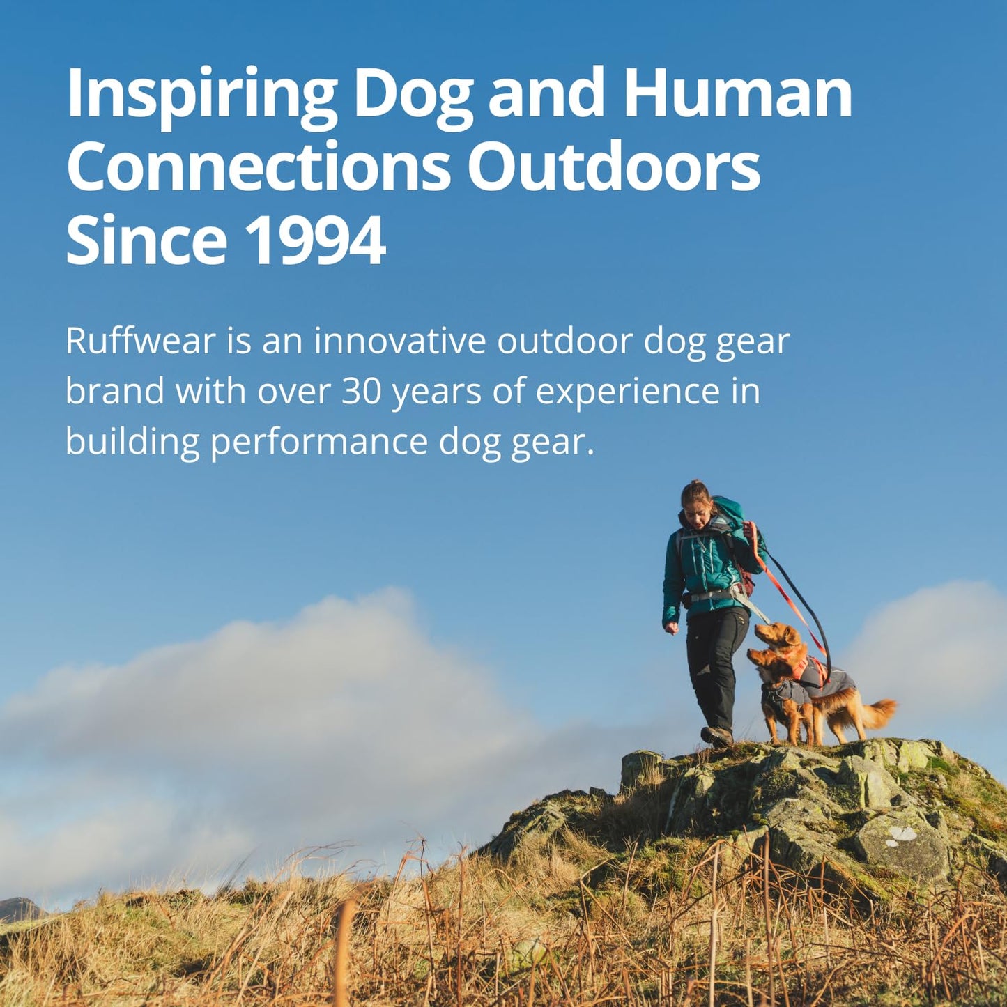 RUFFWEAR Vert Jacket, Insulated Outdoor Winter Dog Jacket with Leg Loops for Secure Fit, Windproof & Waterproof, Easy On/Off, includes Leash Portal, for Small Dogs, Size XS, Canyonlands Orange