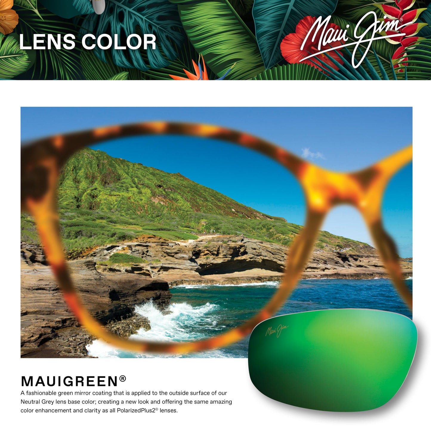 GAFAS MAUI JIM - Keha_GM663-10 C: BROWN/EYE SIZE: 63 TEMPLE LENGTH: 125 VERTICAL SIZE: 43 Cura della persona e salute